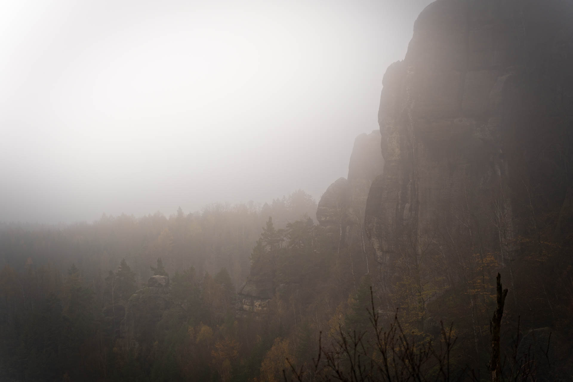 An der Rotkehlchenstiege