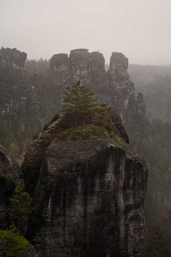 20241113_Bastei_7300376