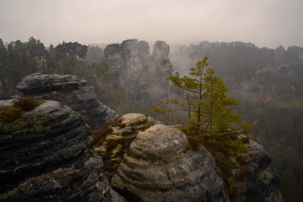 20241113_Bastei_7300422