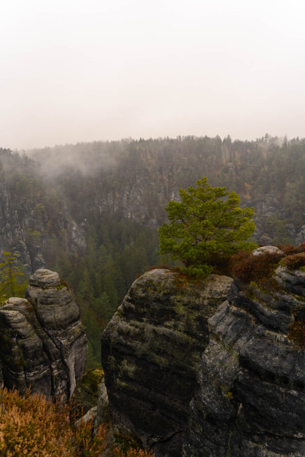 20241113_Bastei_7300430