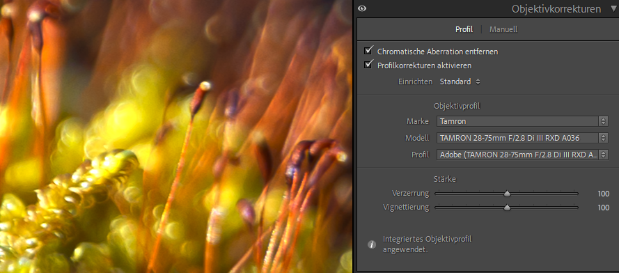 Profilkorrekturen in Lightroom